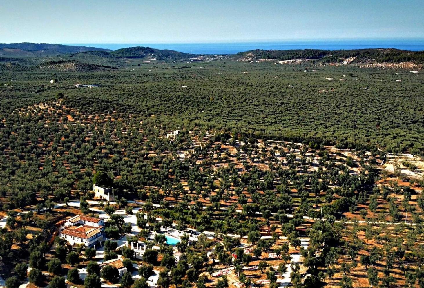 Agricampeggio - Solo Piazzole Vuote - Agriturismo Passione Natura 비에스테 외부 사진